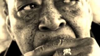 James Cotton-Living The Blues