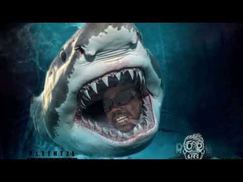 Dopelife Rambo (GTD)