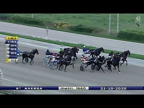 Aversa trotto 31 Ottobre 2020 - 6° Corsa