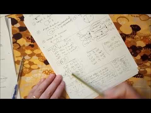 13 pregatiri logica - rationamentul -  conversiunea si obversiunea_SII_C_D