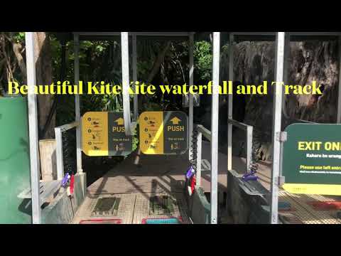 How we Enter to NZ Forrest.