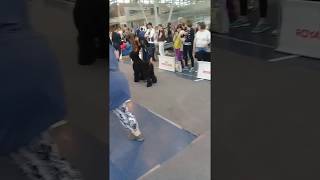 , видео 04.06.2017