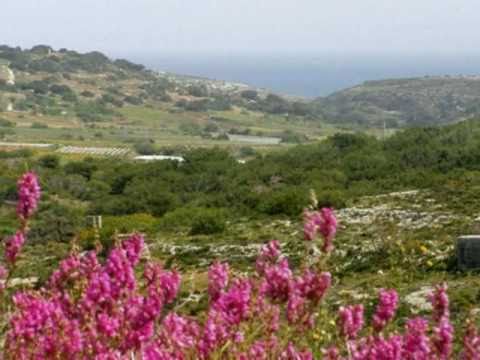 My Choice - Alain Morisod: It was a Nice Day