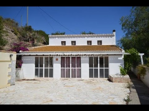 SOLD - Cortijo Kiwi AH9195