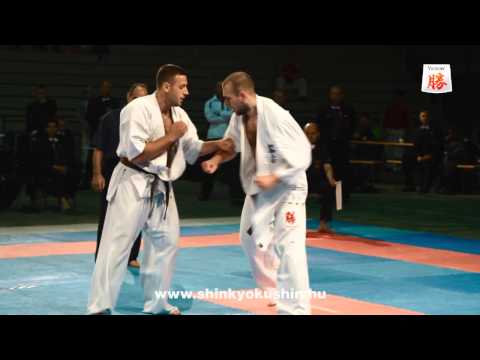 Sándor Kovács vs  Kruno Terihaj - European Championship Shinkyokushin Switzerland 2013
