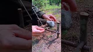 Download lagu TRAP THE BEAST IF YOU GET LOST IN THE FOREST  #survival #trap #bushcraft #hunting mp3