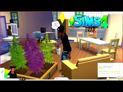 sims 4 drug dealer mod download sims 4 drug dealer mod download