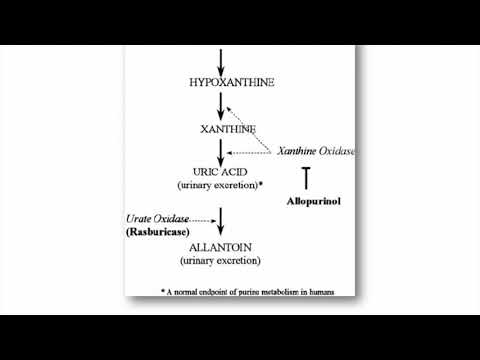 Management of Tumor Lysis Syndrome and Hypercalcemia of Malignancy
