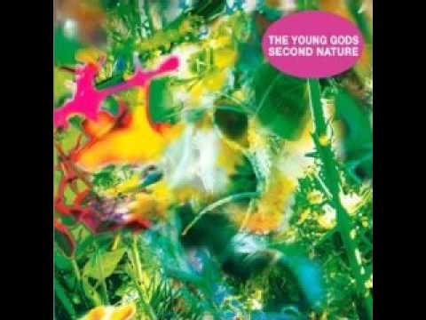Young Gods - Second Nature