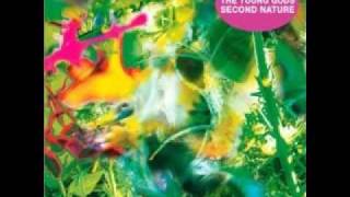 Young Gods - Second Nature