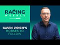 Gavin Lynch's Novice Horses to Follow 2023/24 | Racing Weekly