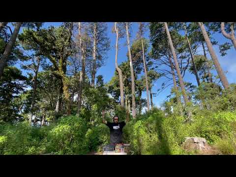 A.L.I.E.N.I.G.E.N.A. - Barba Mutante, Hi-Tech Dj Set