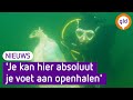 Duikers ruimen bodem van Heerderstrand op tijdens 'World Cleanup Day'