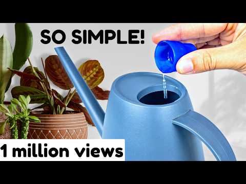 1 Drop And Watch Your Plants THRIVE