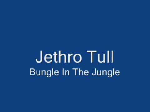 Jungle Lyrics