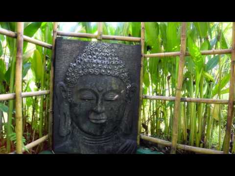 Prashanti Bali - Highlight Reel