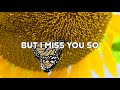 Paul Weller - Sunflower (with Lyrics)