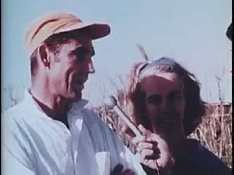 download lagu mp3 mp4 Lubbock Tornado, download lagu Lubbock Tornado gratis, unduh video klip Lubbock Tornado