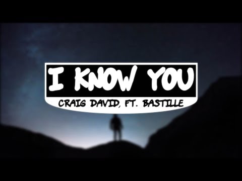 Craig David - I Know You  ft. Bastille  (Lyrics)