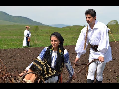 OVIDIU PURDEA SOMEȘ - Alăturea cu drumu