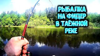 Рыбалка на керженец