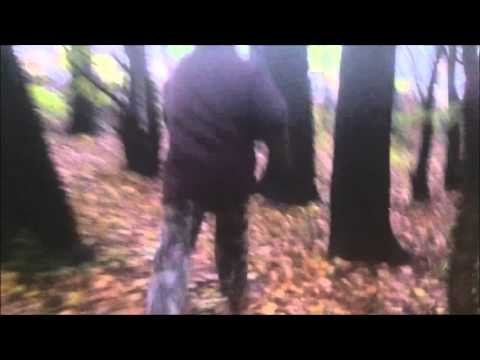 Forest Obstacle No Spin Run