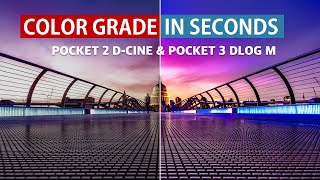 DJI Pocket 3 LUTs | Color Grade Like A Pro In 2 Clicks