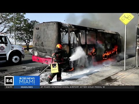 Chaos in Mexico: Cartel violence shuts down tourist hotspots—Americans stranded