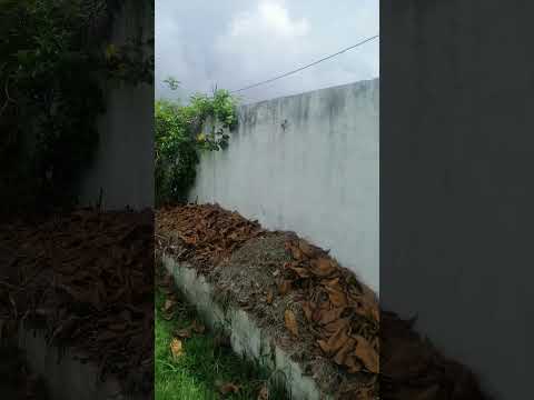 Encantadora casa rural accesible en Arbeláez Cundinamarca #alojamientosrurales #casadecampo