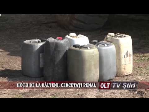 HOTII DE LA BALTENI CERCETATI PENAL 1206