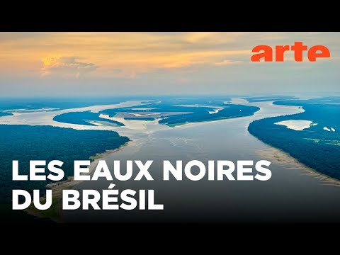 Le rio Negro, de Sao Gabriel à Manaus | Aventures brésiliennes | ARTE Family