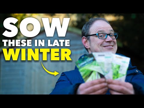 You Must Sow These Seeds in October