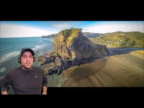 Окаменевшие гиганты кремниевой эпохи (Fossilized giants of the silicon era)