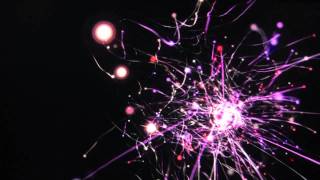 Animal Collective - For Reverend Green