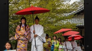 Toyotomi Hideyoshi’s Cherry Blossom Party at Daigo-ji in Kyoto!
