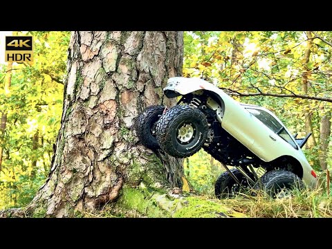 Tamiya CR01 Porsche 911 - forest trail