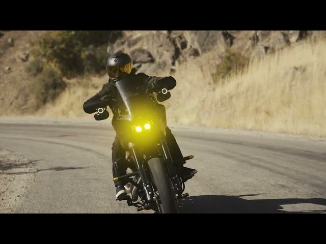 Shinko Tires SR999 Blackwall Long Haul Tire Rear Bias 69 4