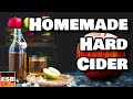 Hard Apple Cider For BEGINNERS Everything At The Grocery Store