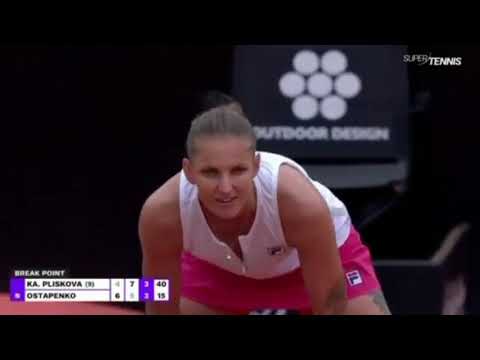 Il Pengwin incita Pliskova ma nessuno risponde e viene sgridato