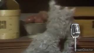 sesame street catgut sings I want a monster to be my friend song
