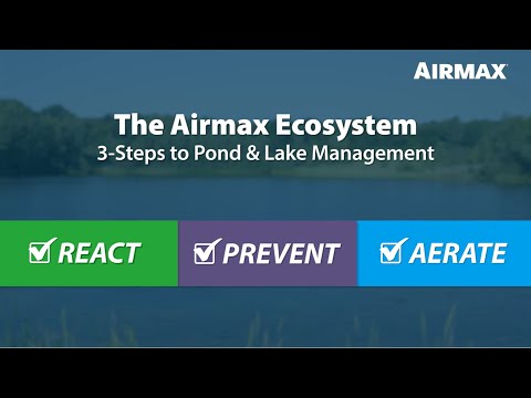 The Airmax Ecosystem: 3 Steps to Pond & Lake Management