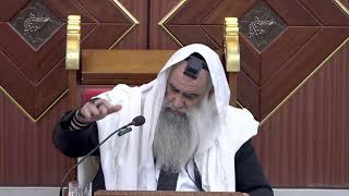 הרב שי פרי שליט"א - פרשת בהעלותך - שיעור אור החיים