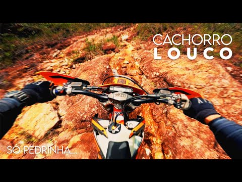 Trilha CACHORRO LOUCO