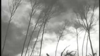 16 Horsepower - Splinters official edit (Lyrics)