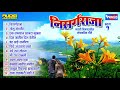 Top 12 Nisarg Raja Marathi Songs   Marathi Chitrapatil  Lokpriya Gaani   Marathi Songs Cover