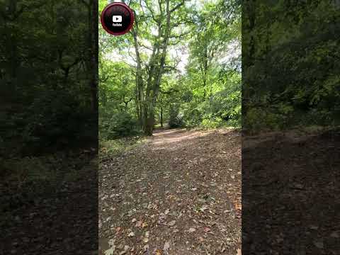 Starmer vs Big Tech: The Deepfake War! 🚨