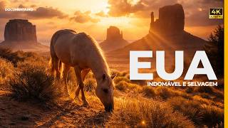 O Que Ainda Sobrevive nos Estados Unidos Selvagens | Documentário 4K