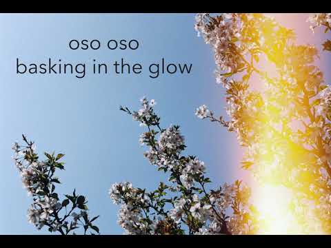 oso oso - basking in the glow (official audio)