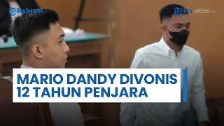 Terbukti Lakukan Penganiayaan terhadap David Ozora, Mario Dandy Divonis 12 Tahun Penjara