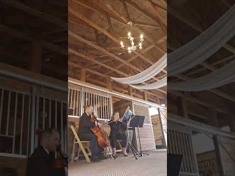 Promotional video thumbnail 1 for Refoundry Strings
